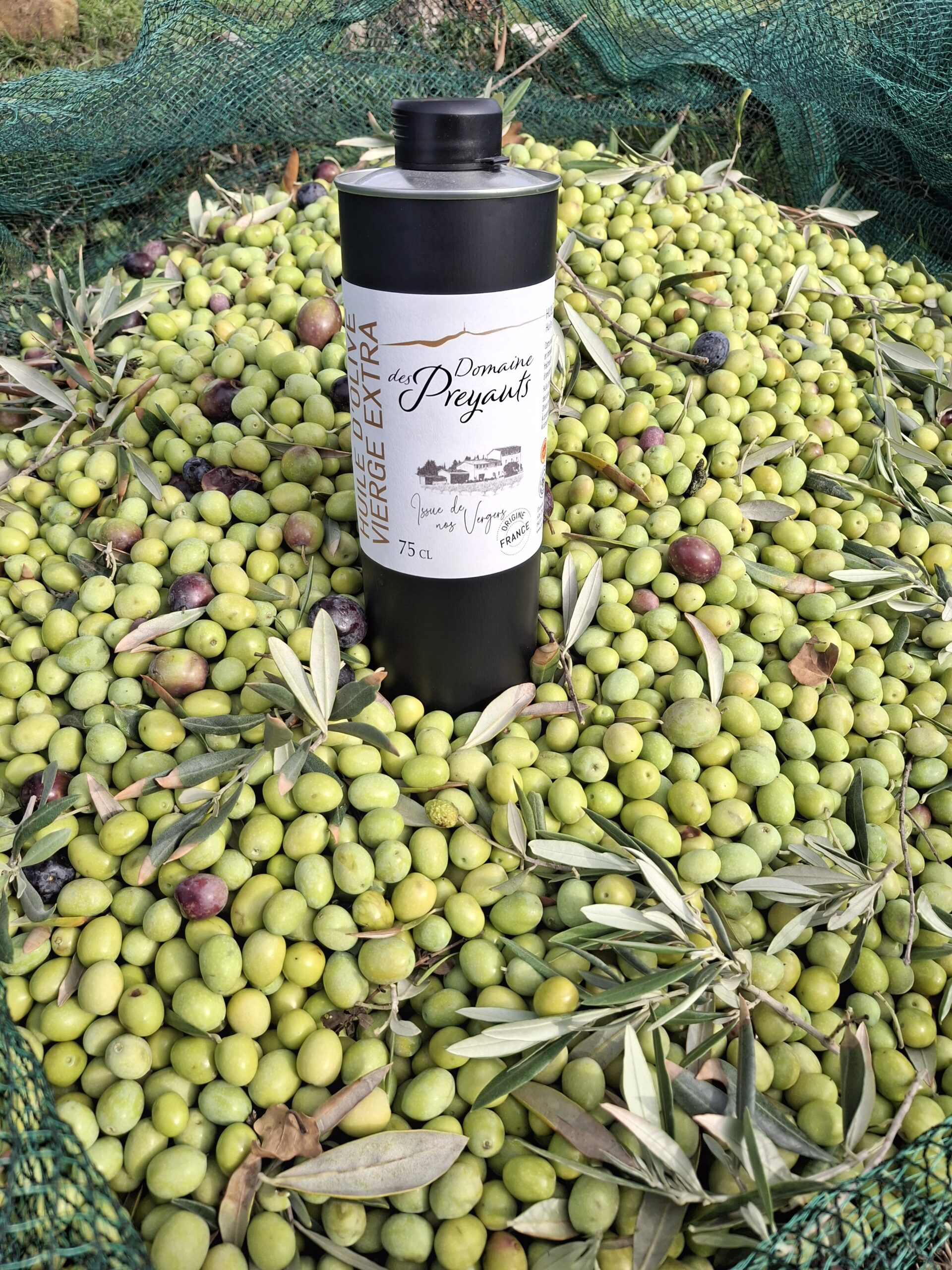 Huile d'olive du Domaine des Preyauts