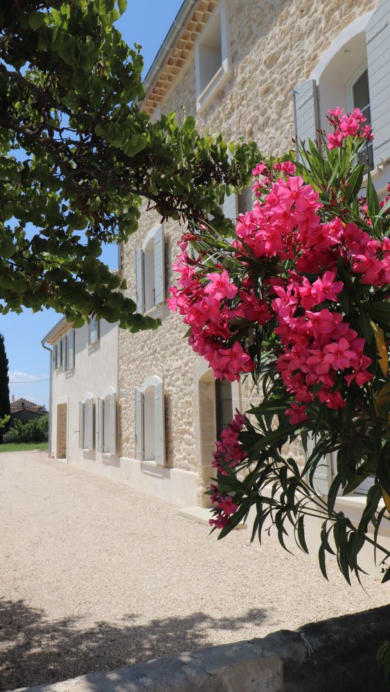 Le Mas Provençal dans la journée